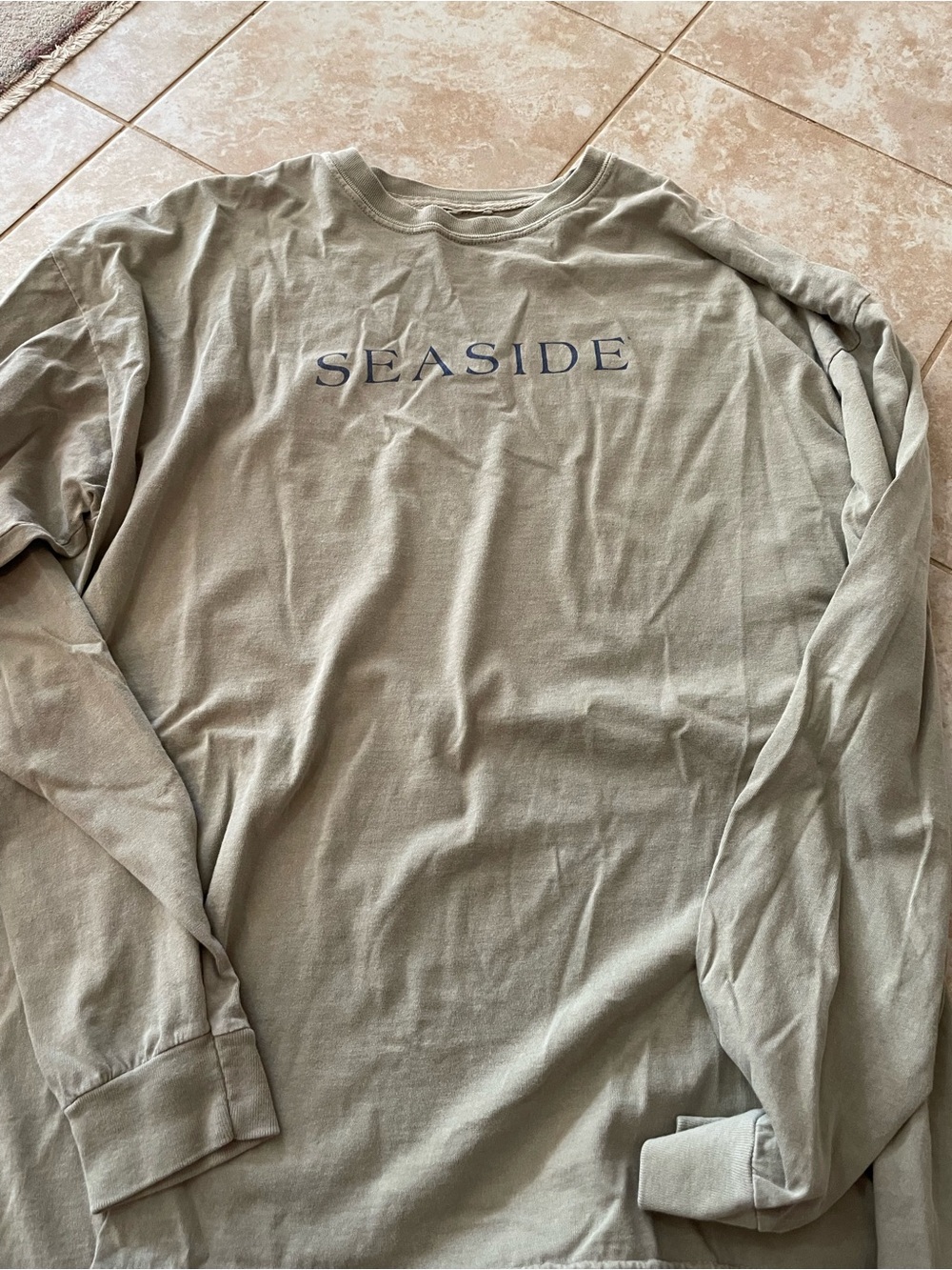 Source Unknown Sage Green 'SEASIDE' Long Sleeve Crewneck